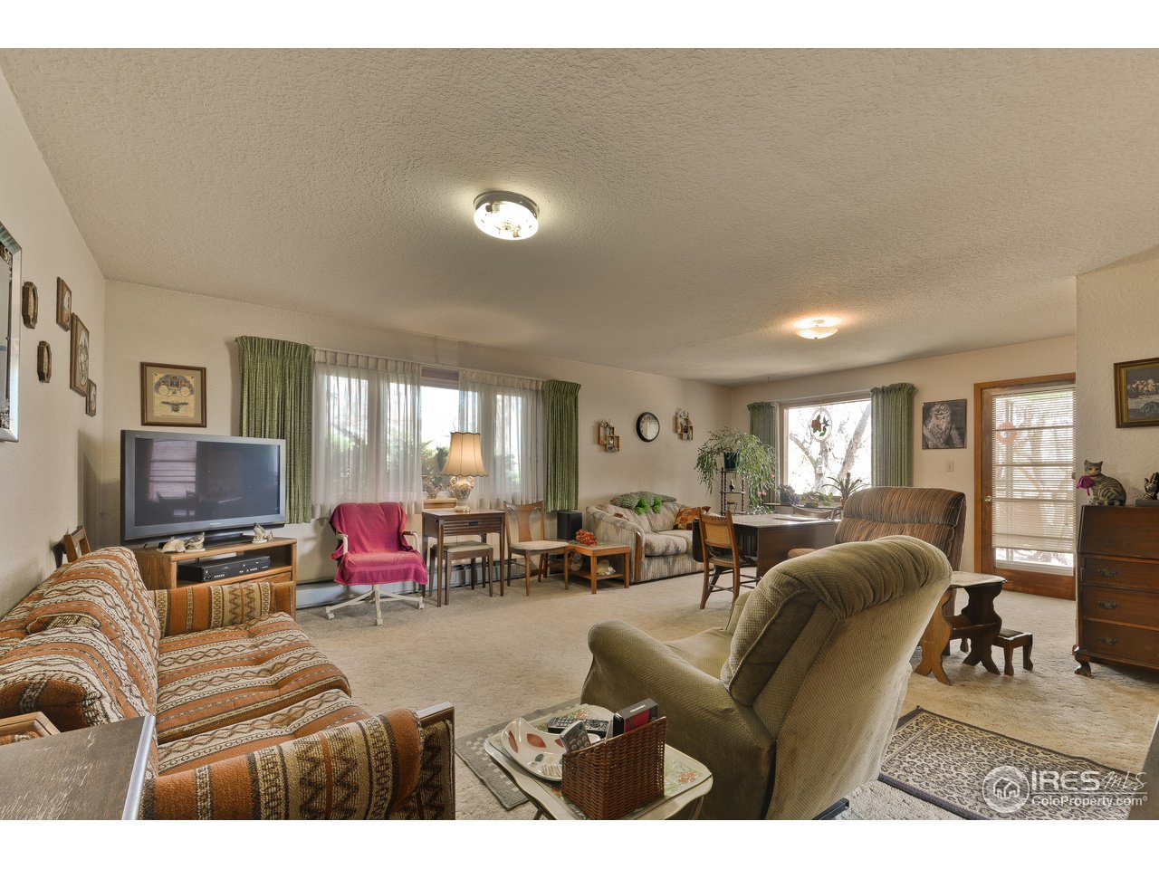 6412 Hygiene Road Longmont, CO 80503 - Photo 13 of 28 Living room
