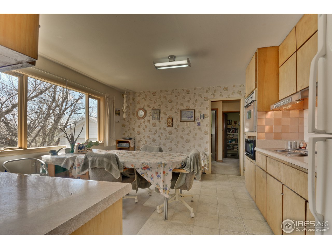 6412 Hygiene Road Longmont, CO 80503 - Photo 6 of 28 Gallery Image 6