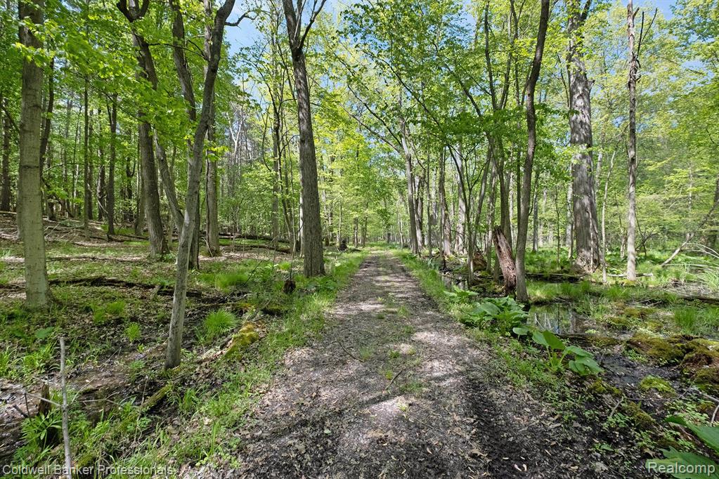 2103 East Newark Road Lapeer, MI 48446 - Photo 70 of 90