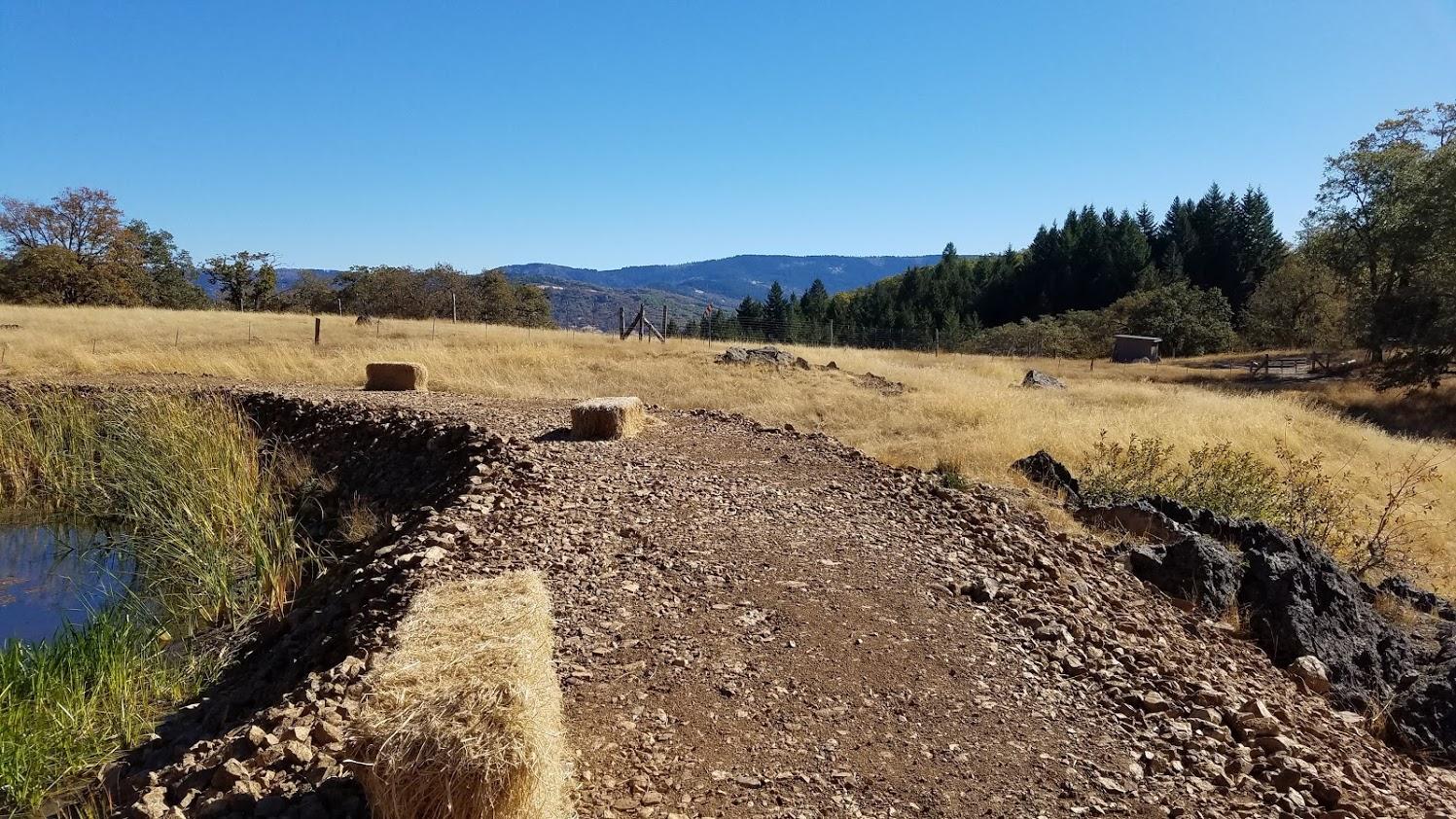 0 Rattlesnake Ridge Road Bridgeville, CA 95526 - Photo 13 of 21