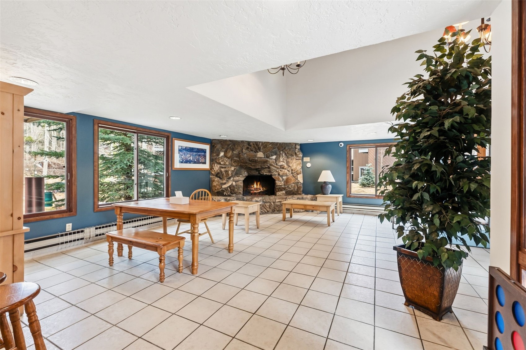 423 Wild Irishman Road, Unit 1010 Keystone, CO 80435 - Photo 18 of 22 a living room with furniture and a potted plant