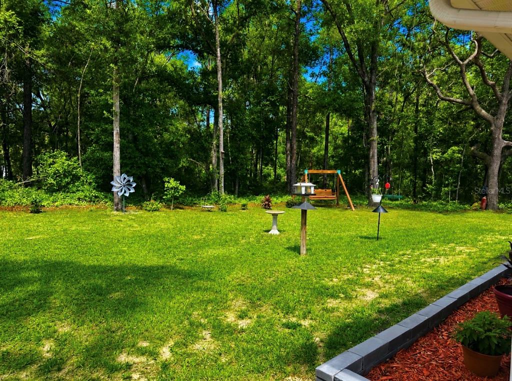 10065 North Langdon Road Citrus Springs, FL 34434 - Photo 7 of 8