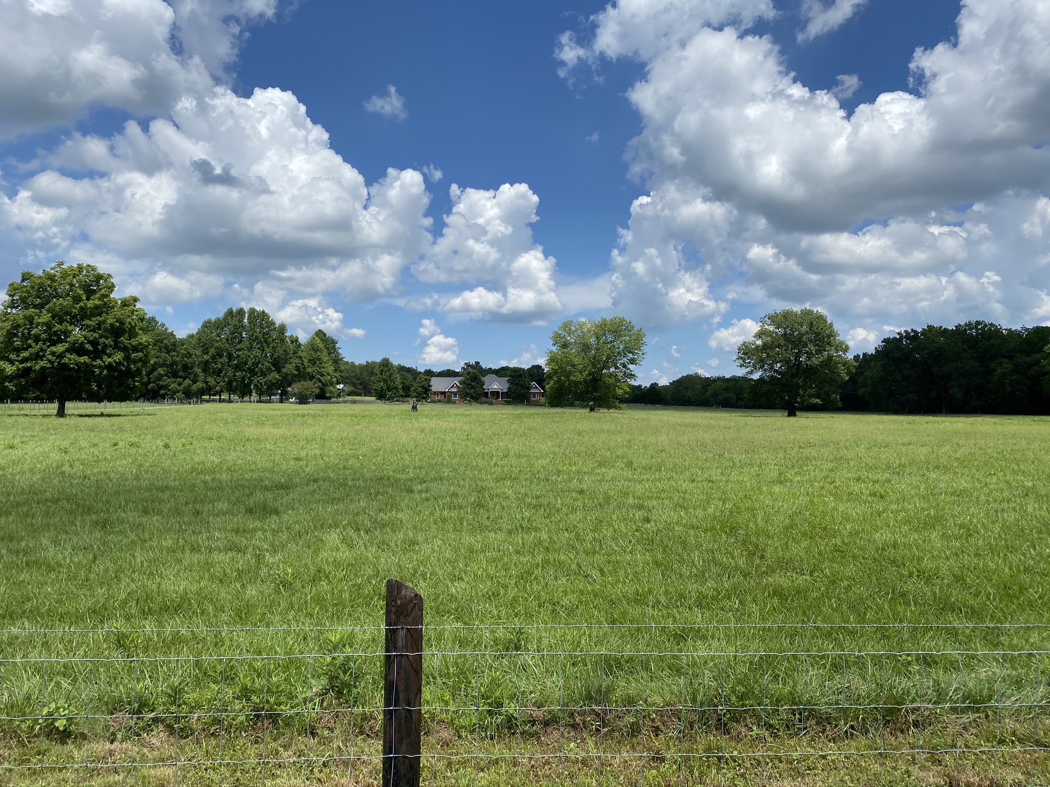 2253 Beckwith Road Mount Juliet, TN 37122 - Photo 3 of 50 Gallery Image 3