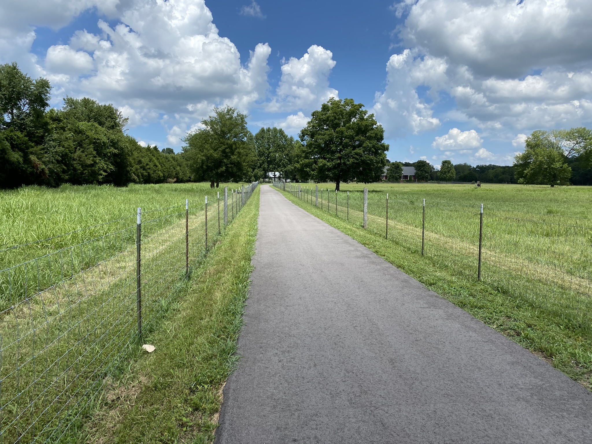 2253 Beckwith Road Mount Juliet, TN 37122 - Photo 4 of 50 Gallery Image 4
