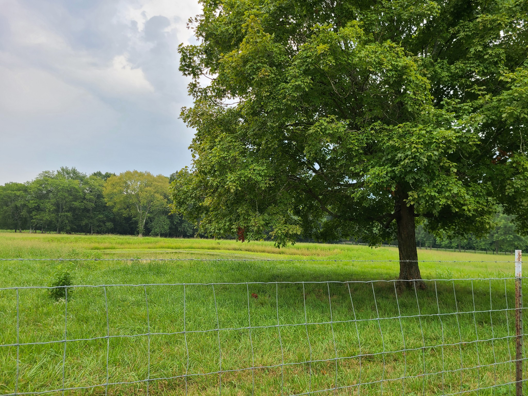 2253 Beckwith Road Mount Juliet, TN 37122 - Photo 5 of 50 Gallery Image 5
