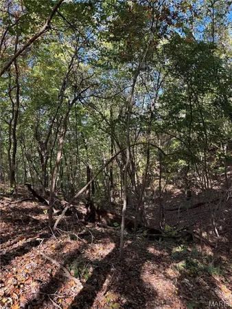 $99,900 | 0 Highway 28, Dixon, MO 65459