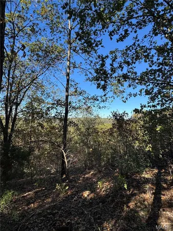 $99,900 | 0 Highway 28, Dixon, MO 65459