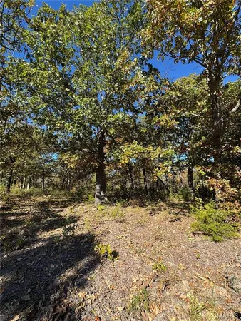 $99,900 | 0 Highway 28, Dixon, MO 65459