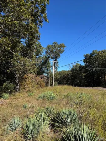 $99,900 | 0 Highway 28, Dixon, MO 65459