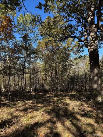 $99,900 | 0 Highway 28, Dixon, MO 65459