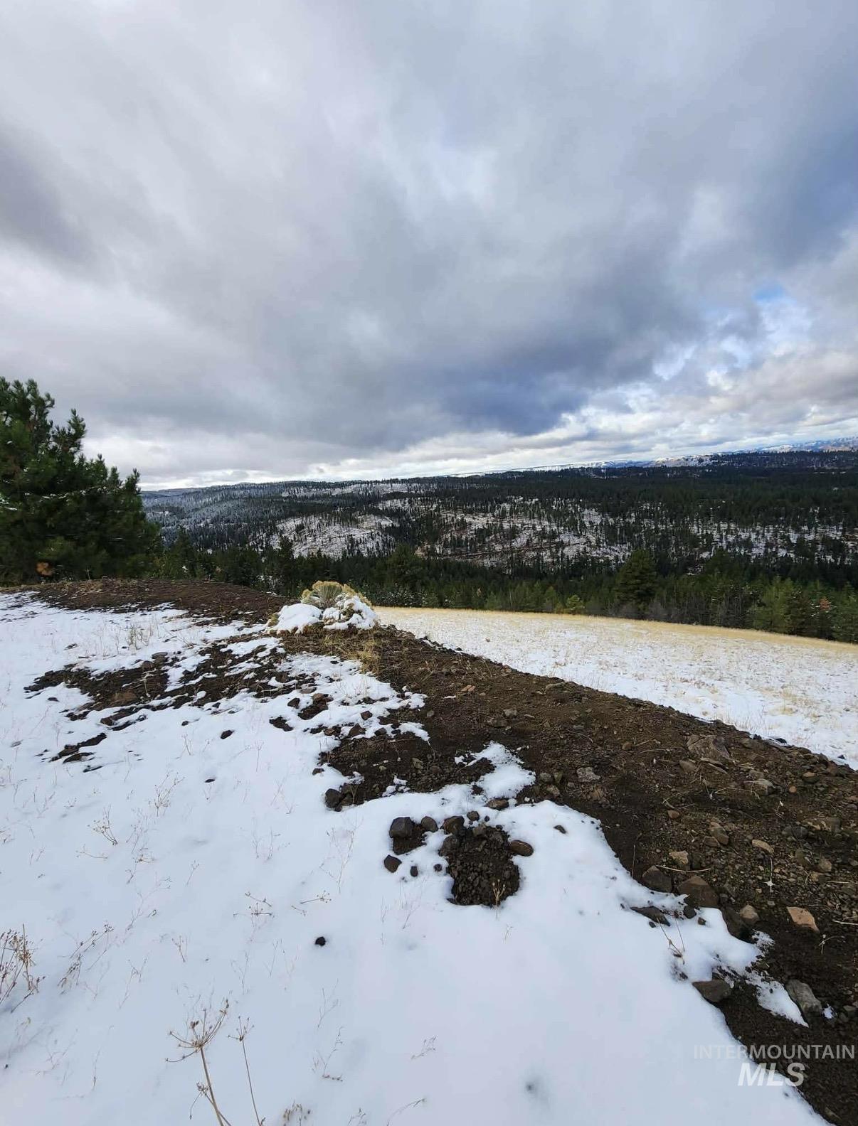 Lot 91 Pilgrim Ridge Road White Bird, ID 83554 - Photo 22 of 35