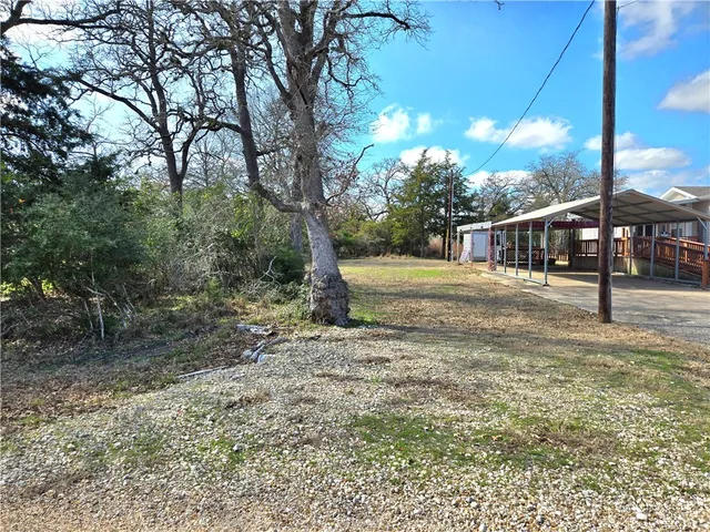 a view of a yard with plants and trees
