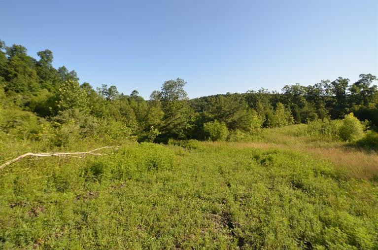 300 Farm Ridge Road Beattyville, KY 41311 - Photo 5 of 48 Photo 5
