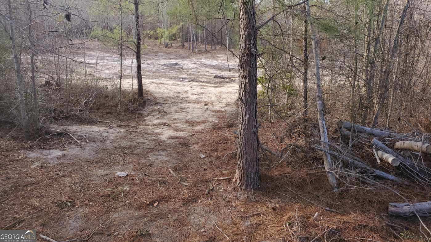19 Sr Dublin, GA 31021 - Photo 16 of 32