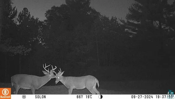 $95,000 | 8888 East Baldwin Avenue, Solon Springs, WI 54873