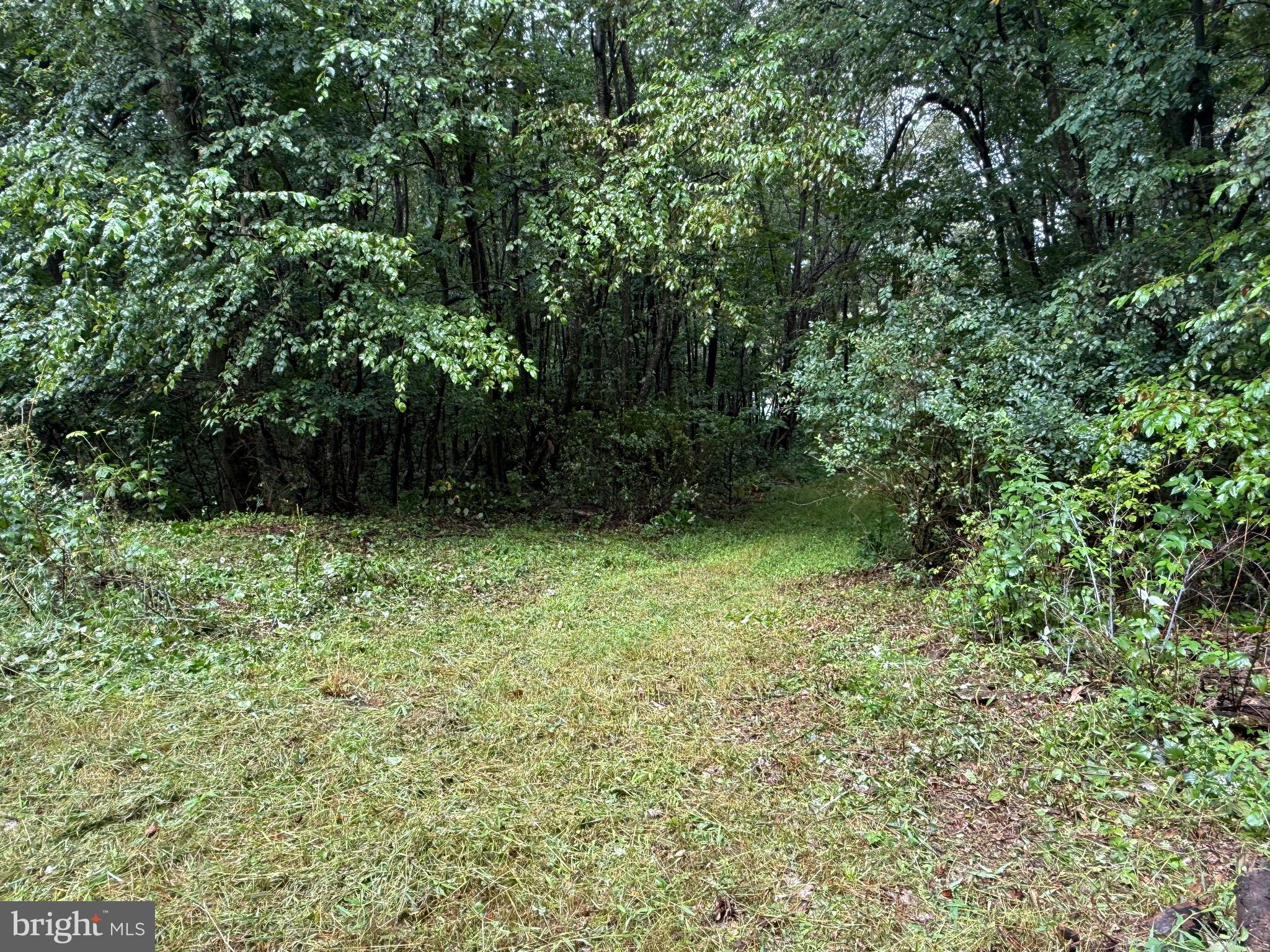 0 Pinnacle Road Keyser, WV 26726 - Photo 18 of 61