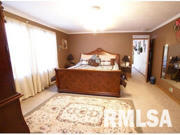 16311 Collins Road Johnston City, IL 62951 - Photo 2 of 11 Gallery Image 2