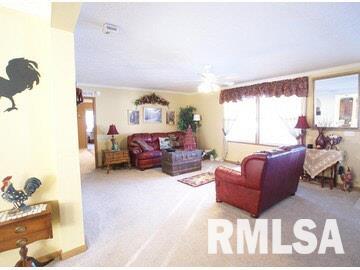 16311 Collins Road Johnston City, IL 62951 - Photo 7 of 11 Gallery Image 7