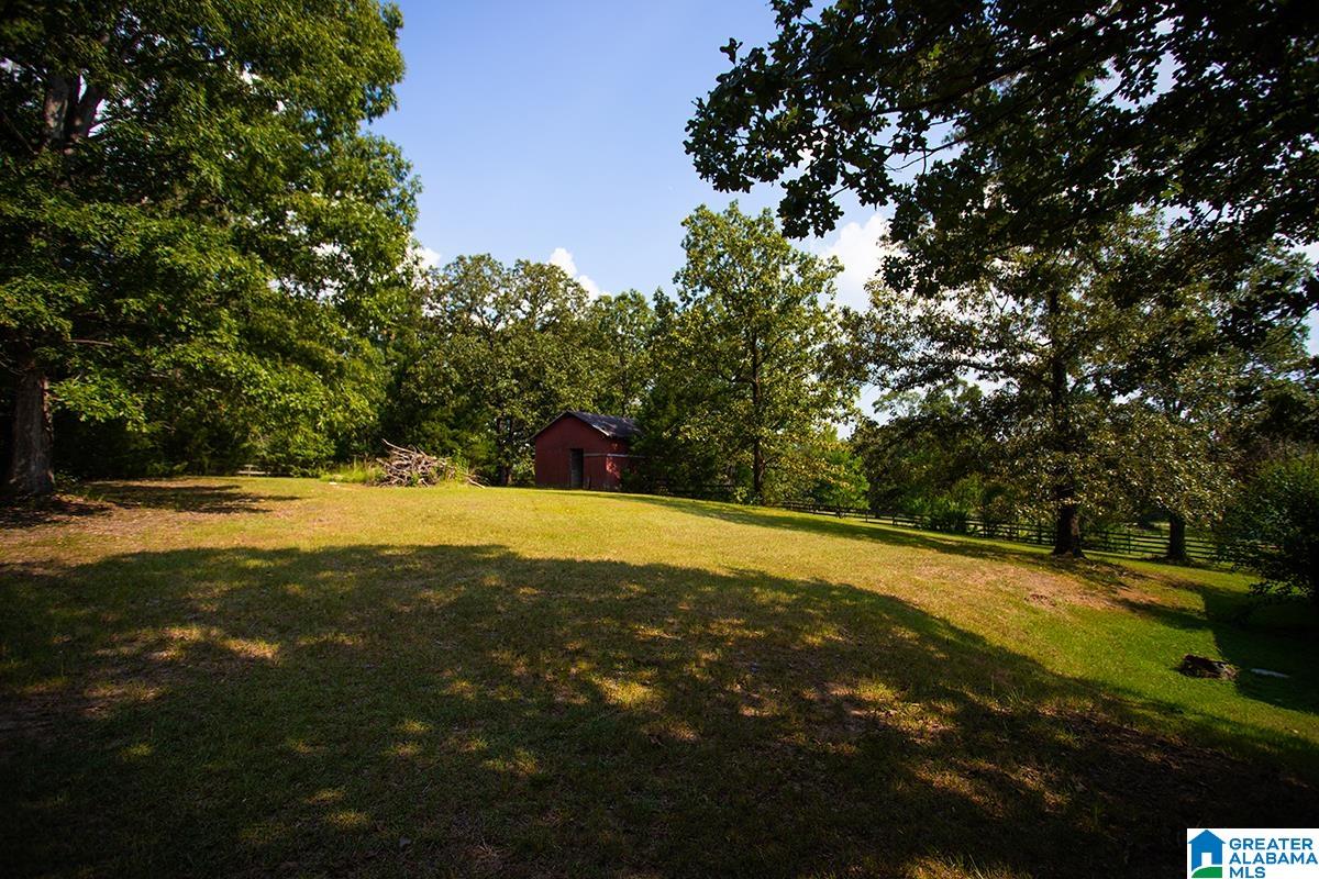 1160 Camp Branch Road Alabaster, AL 35007 - Photo 12 of 59
