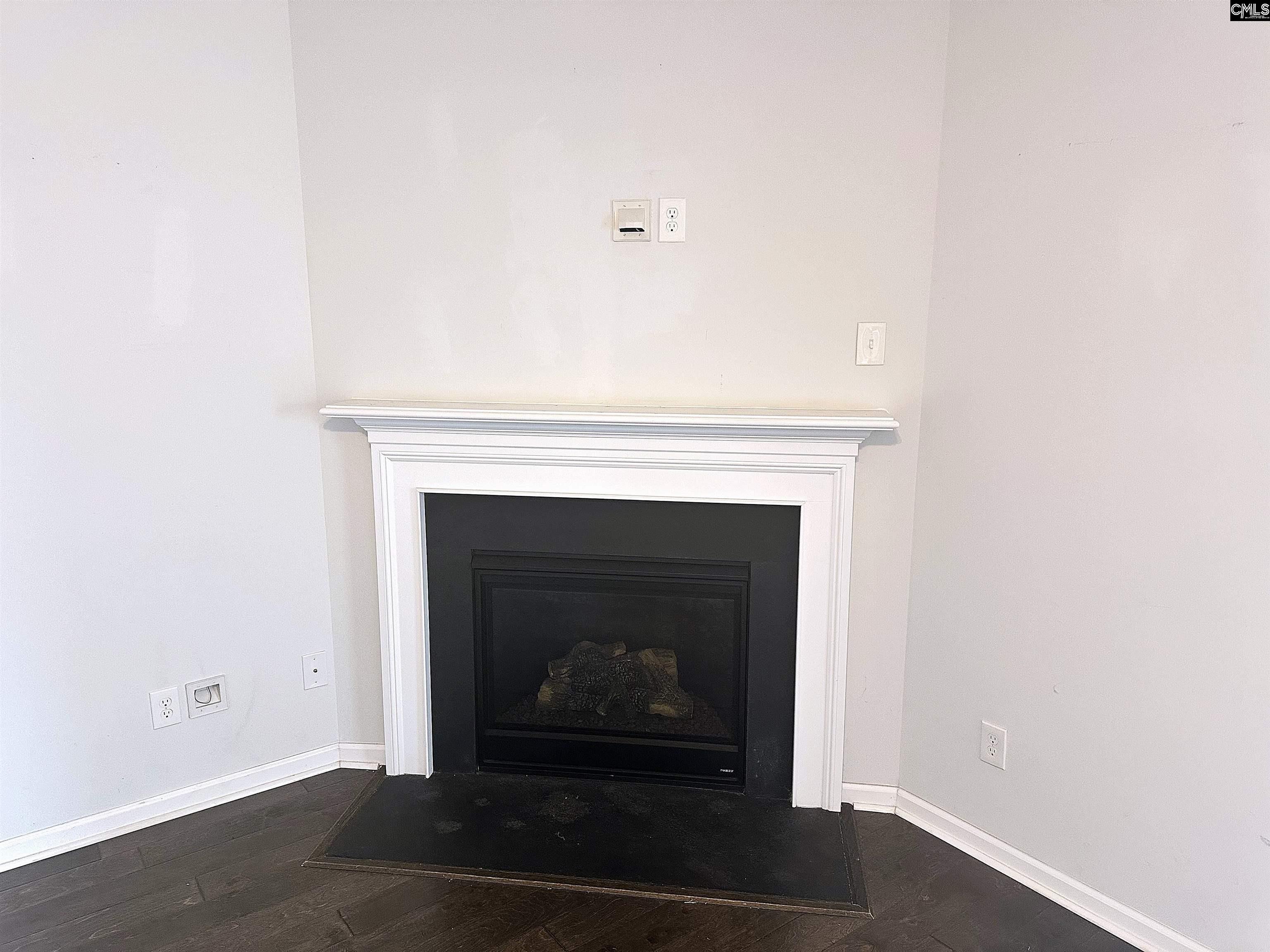412 Maria Posada Court Chapin, SC 29036 - Photo 6 of 26