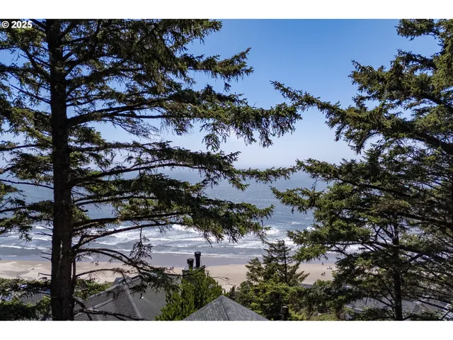 a view of a house with a yard and a large window