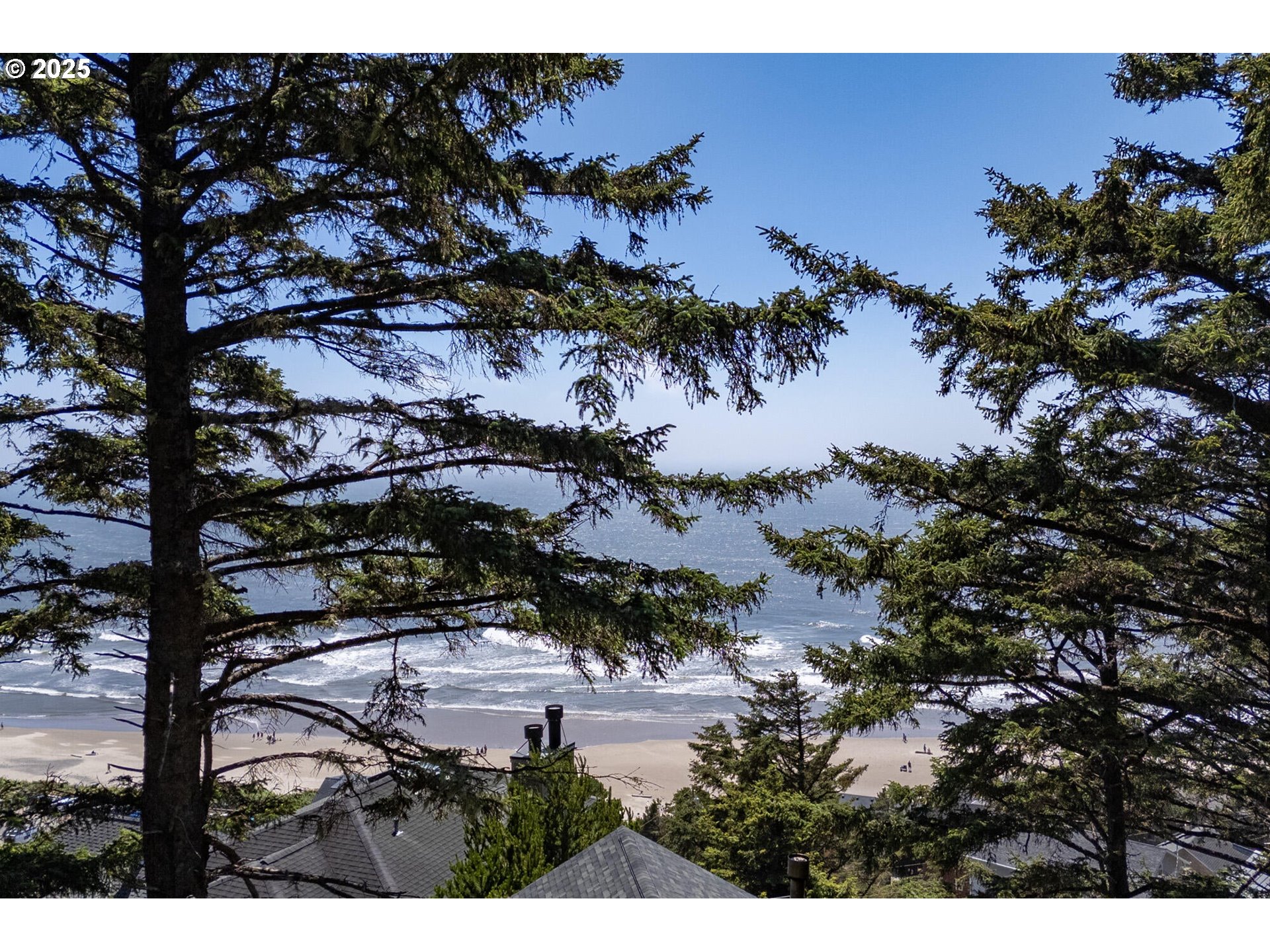 15 Chinook Avenue, Unit 5 Oceanside, OR 97134 - Photo 16 of 19 a view of outdoor space and a yard