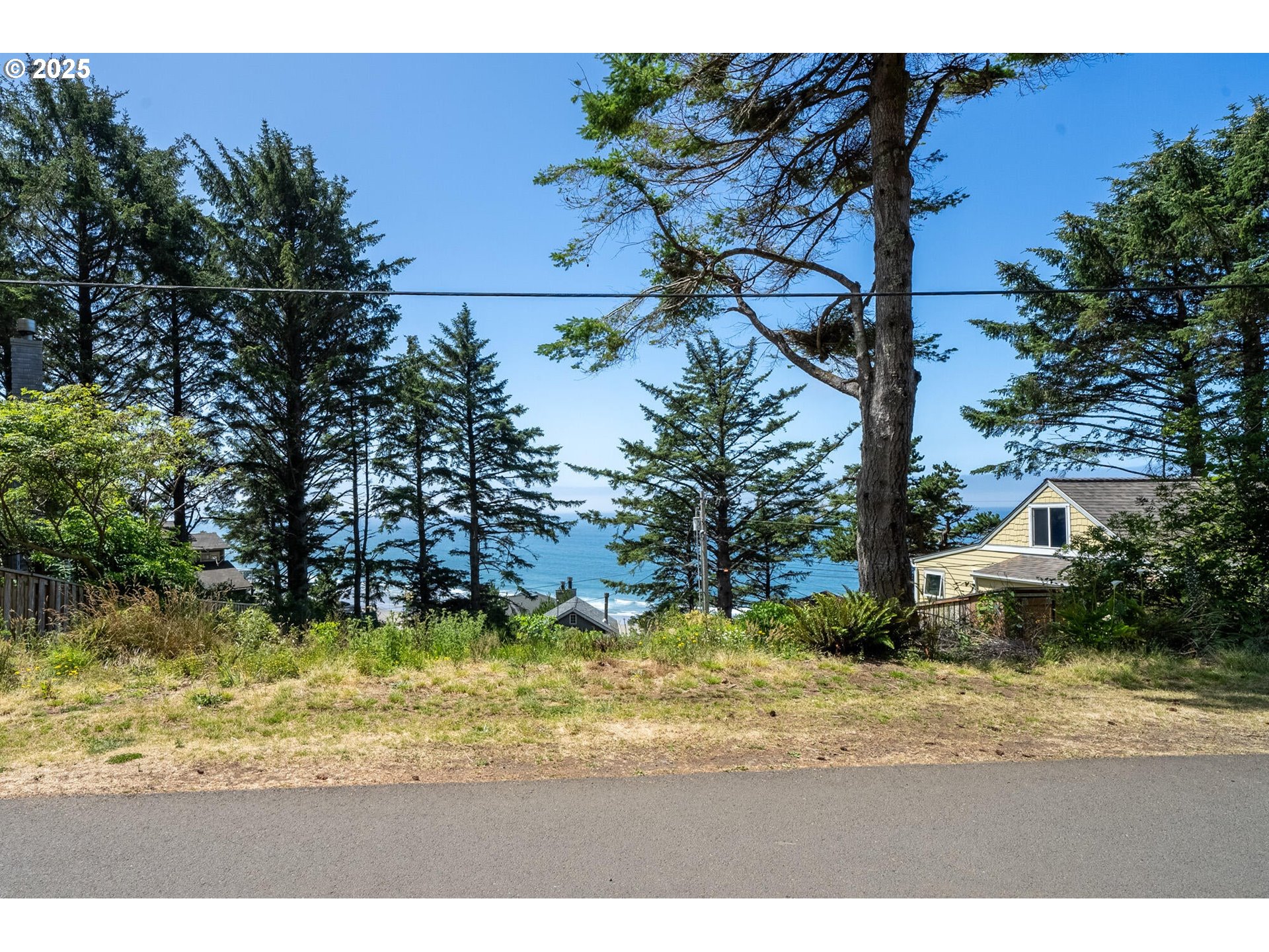 15 Chinook Avenue, Unit 5 Oceanside, OR 97134 - Photo 5 of 19 a view of a yard with a tree