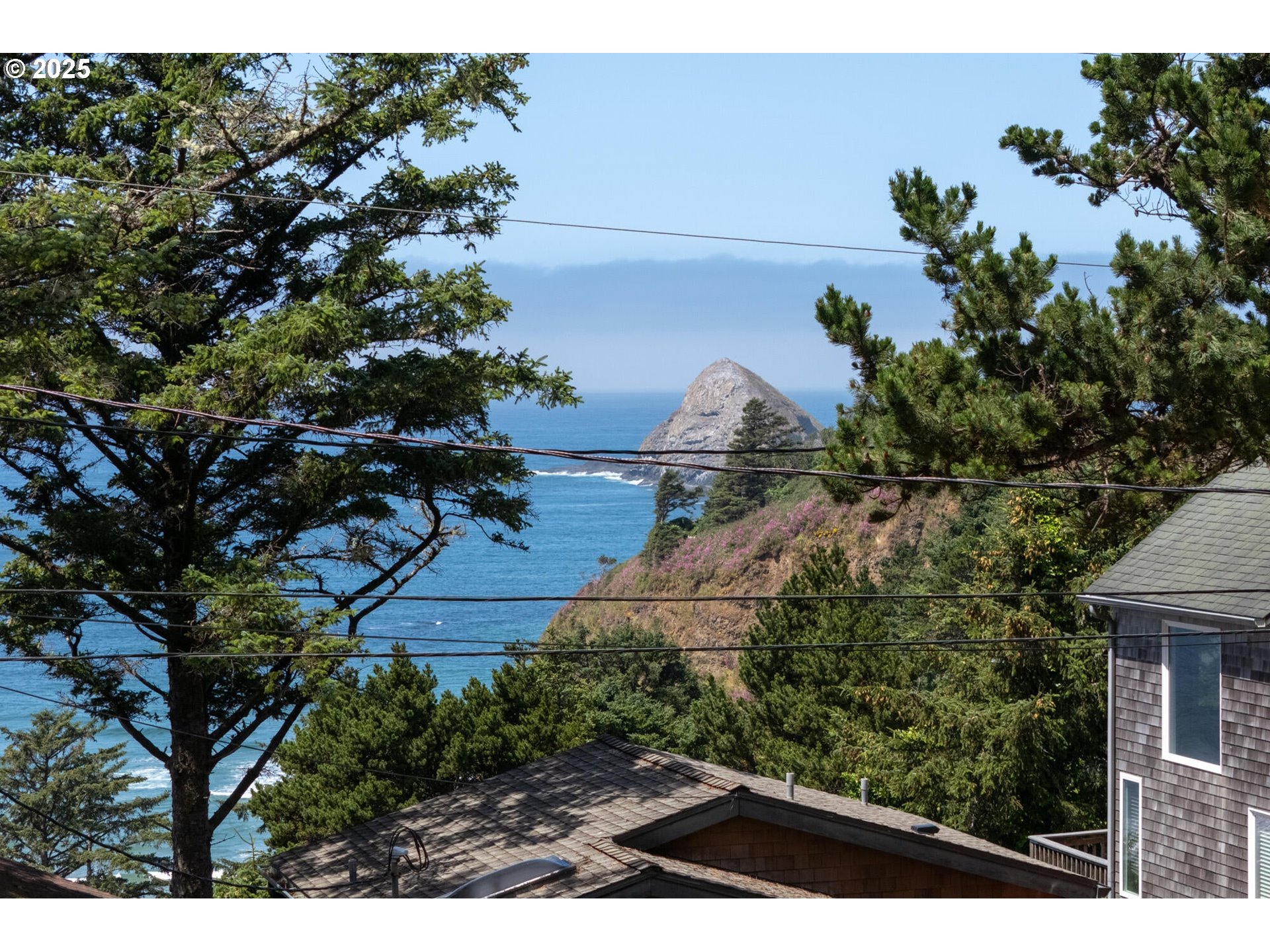 15 Chinook Avenue, Unit 5 Oceanside, OR 97134 - Photo 6 of 19 a view of outdoor space and yard