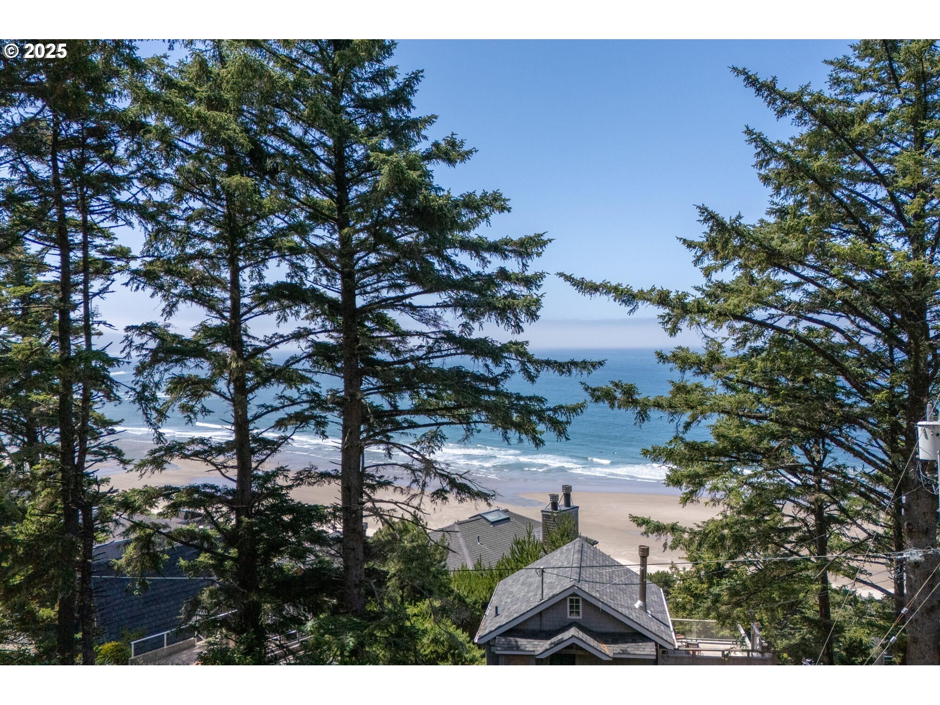 15 Chinook Avenue, Unit 5 Oceanside, OR 97134 - Photo 9 of 19 a view of a yard