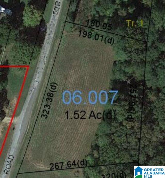 0 County Road 663 Ranburne, AL 36273 - Photo 5 of 5