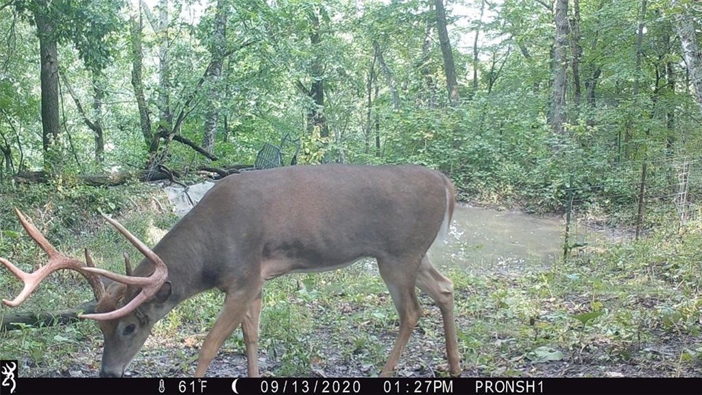 Xx Xx Simons Road Mondovi, WI 54755 - Photo 16 of 45