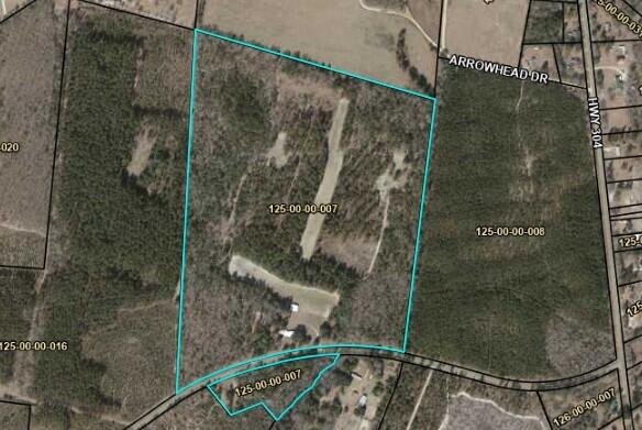 7901 State Rd S-6-169 Blackville, SC 29817 - Photo 4 of 89