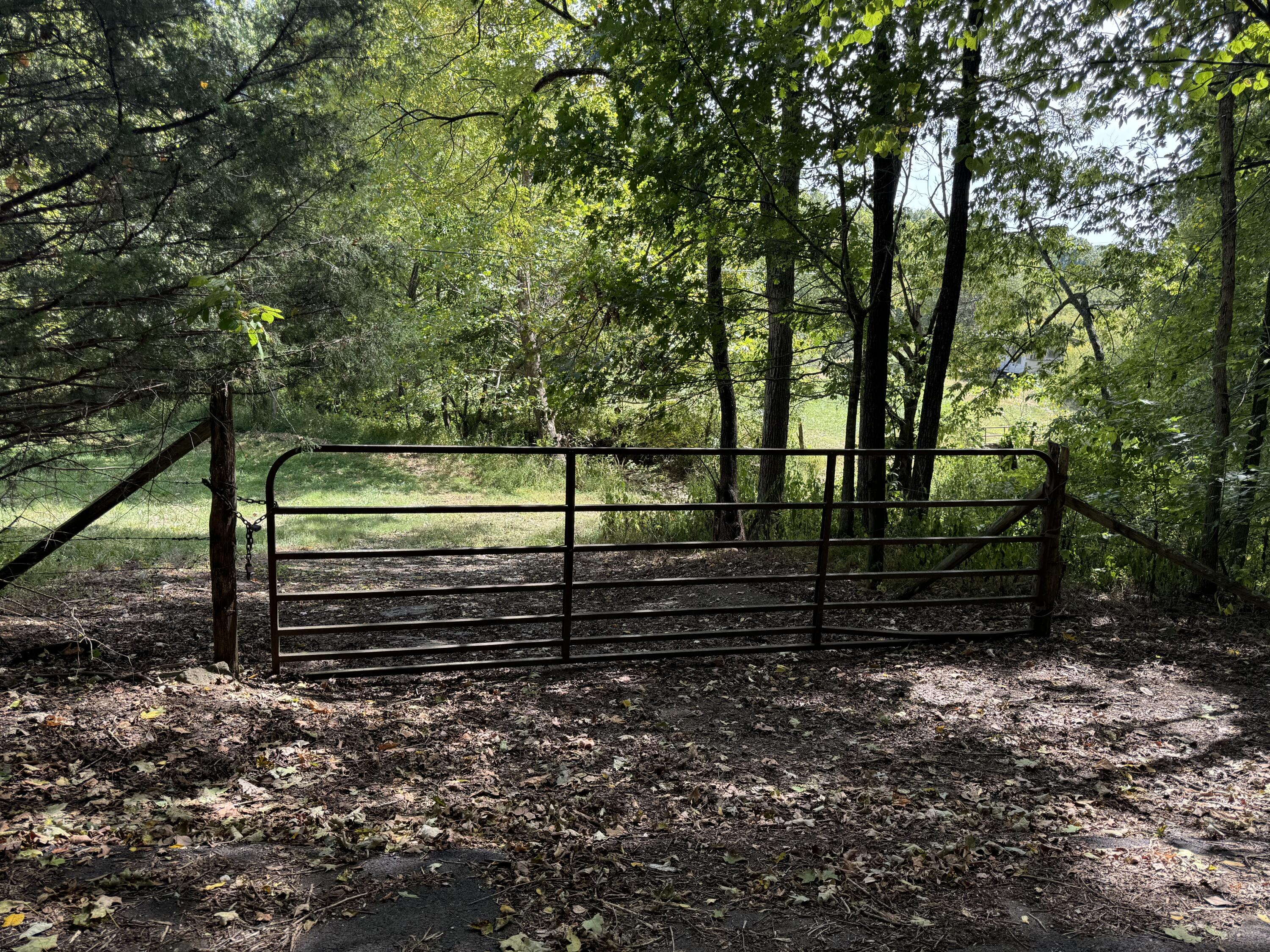 0 Fork Lick Road Corinth, KY 41010 - Photo 14 of 17 Gallery Image 14