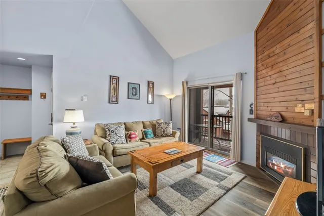 a living room with furniture a rug and a fireplace