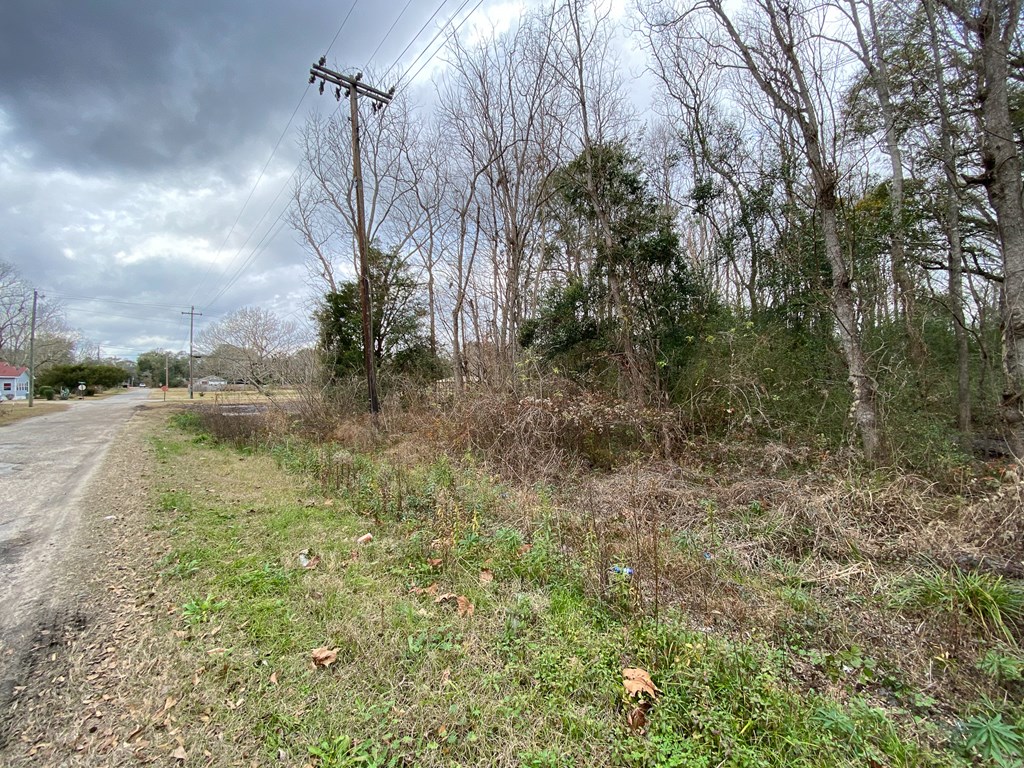0 South Broad Street Samson, AL 36477 - Photo 5 of 10