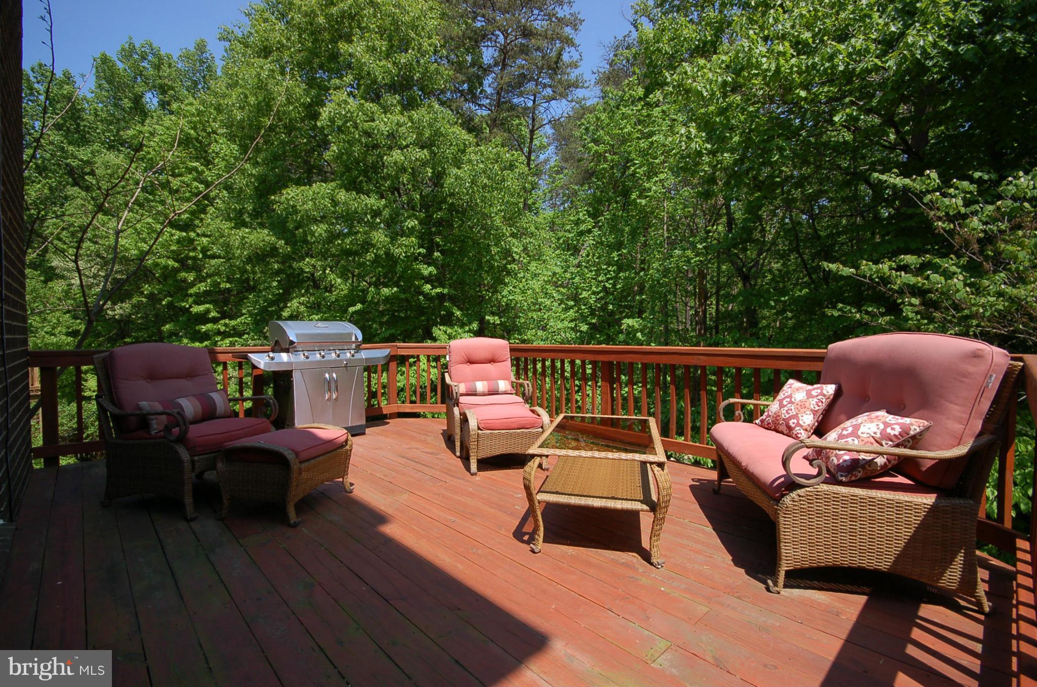 11429 Encore Drive Silver Spring, MD 20901 - Photo 20 of 21 Deck