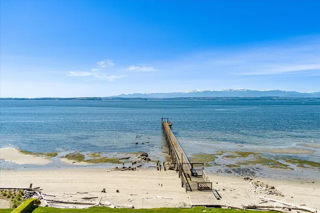 a view of a yard with flower plants