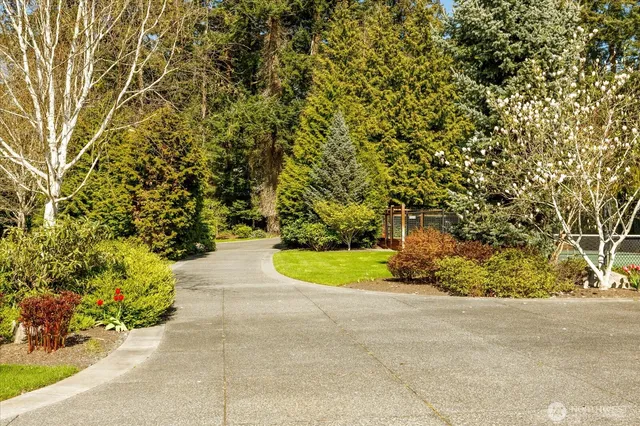 a view of a lake with a yard