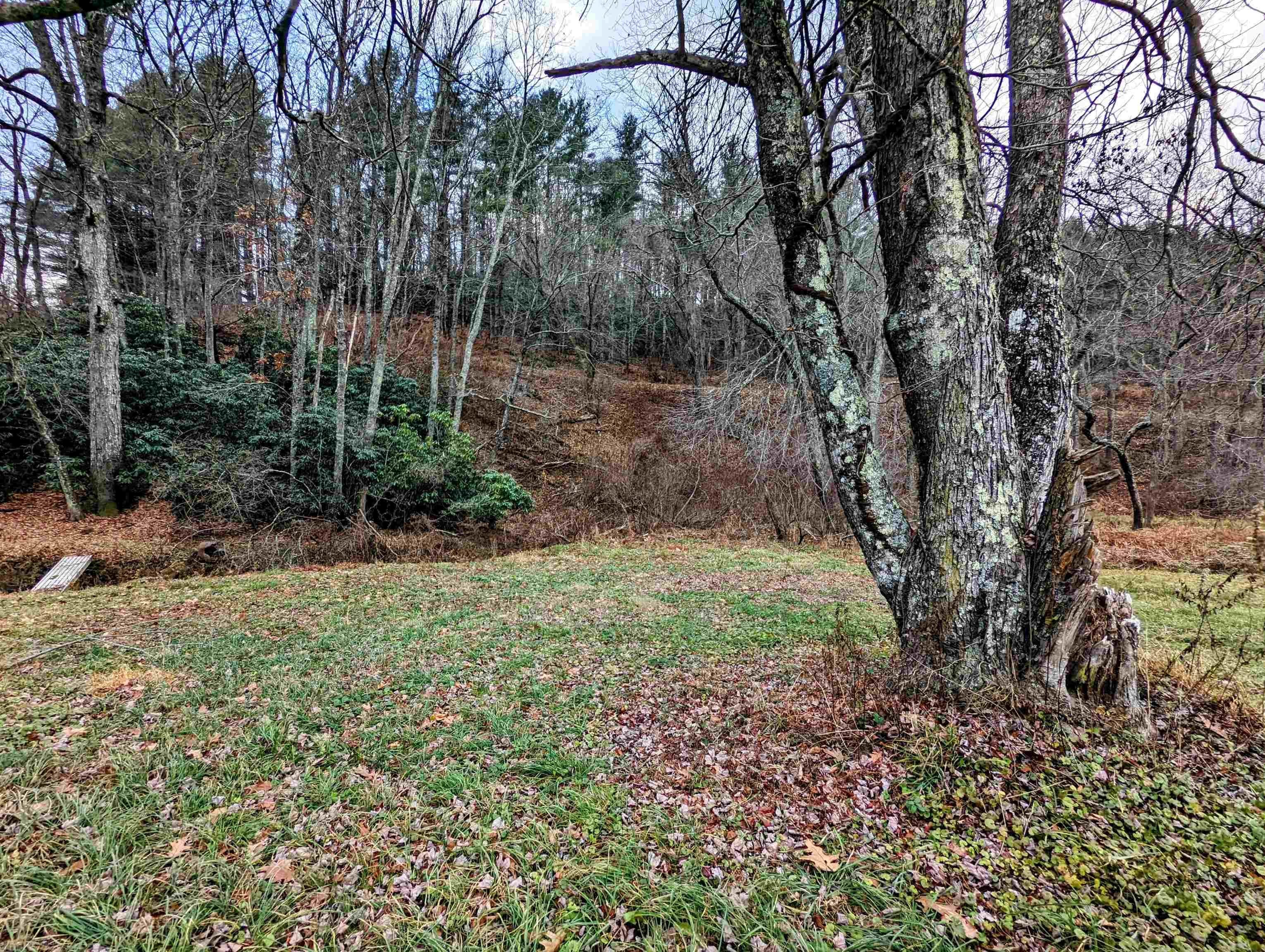 Tbd River Ridge Road Southeast Copper Hill, VA 24079 - Photo 7 of 10 Gallery Image 7