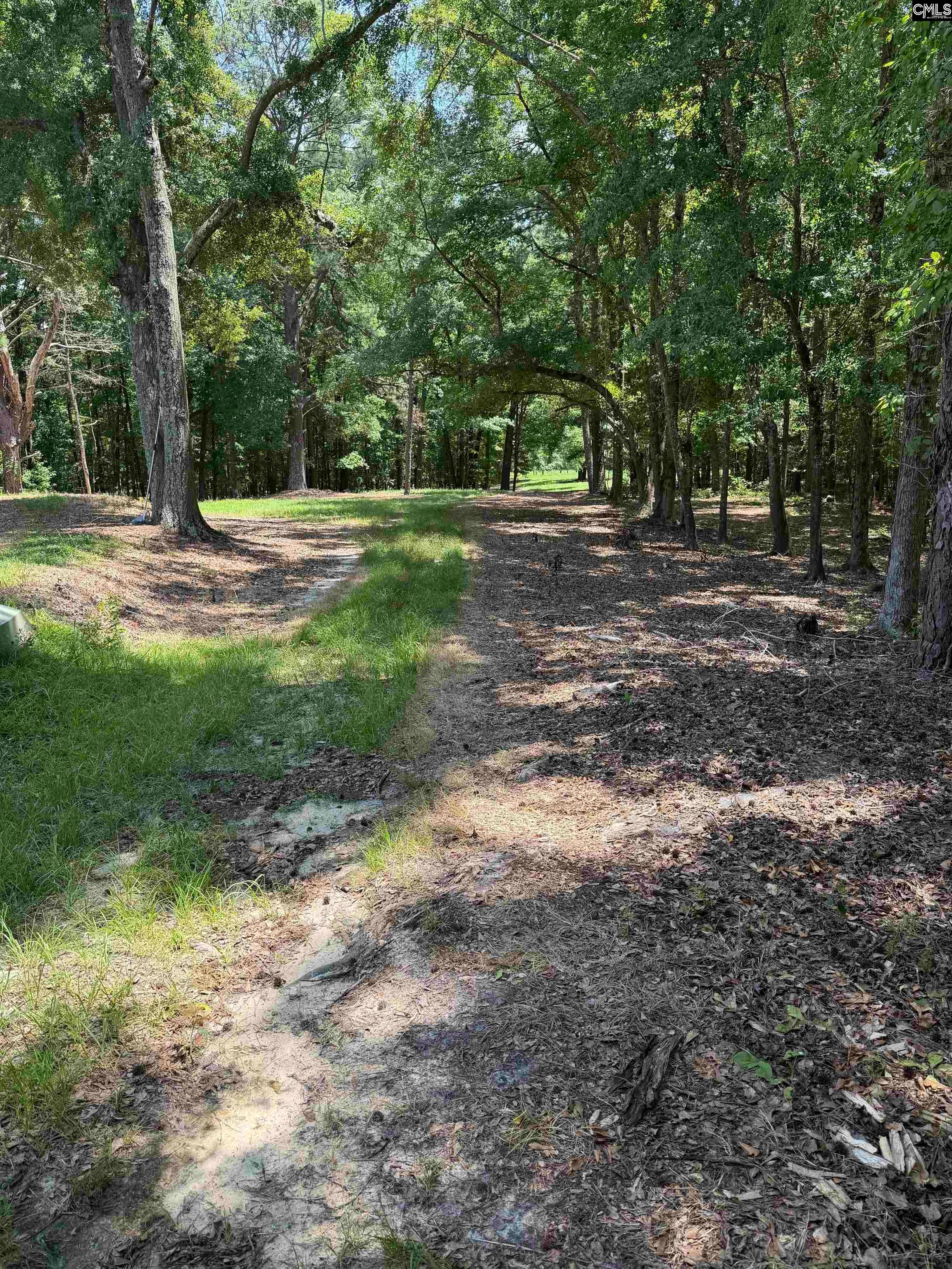 812 Sandfield Road Blythewood, SC 29016 - Photo 10 of 25