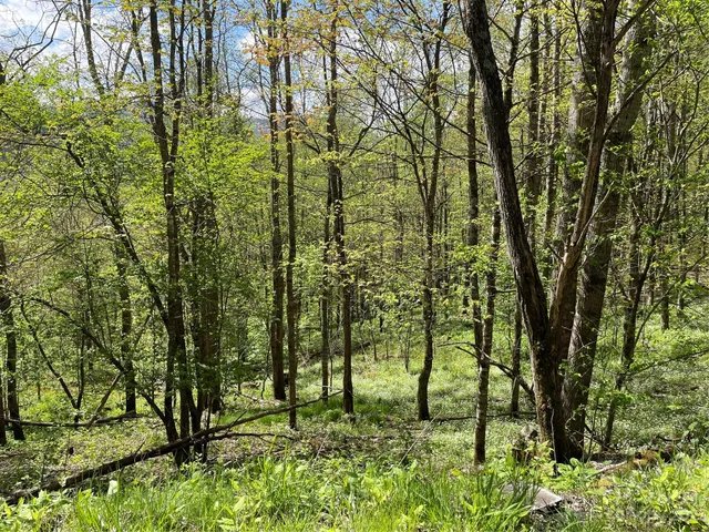 a view of outdoor space