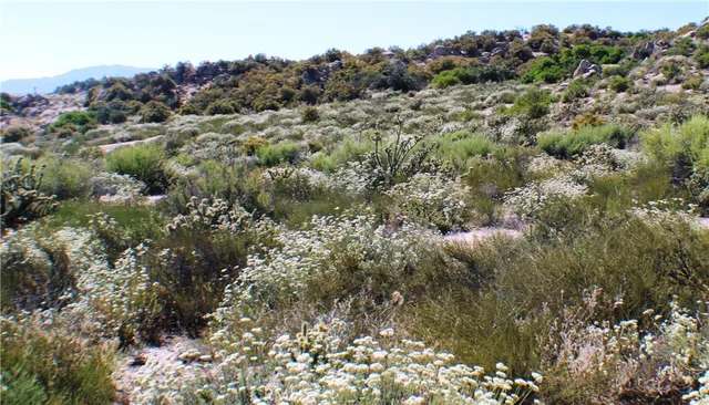 $90,000 | 42560 Labrinia Lane, Anza, CA 92539