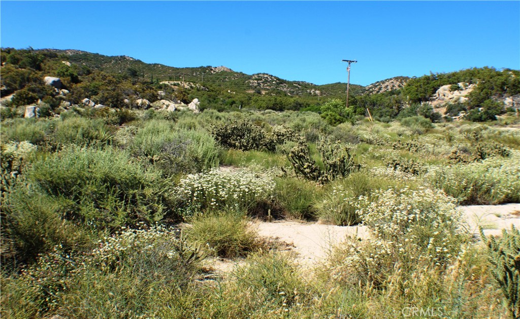 42560 Labrinia Lane Anza, CA 92539 - Photo 16 of 22 a view of a green field