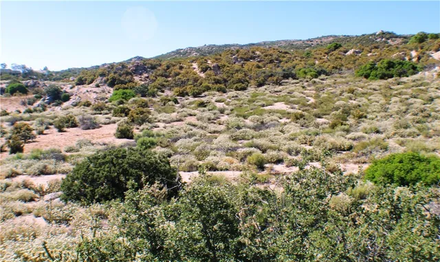 $90,000 | 42560 Labrinia Lane, Anza, CA 92539