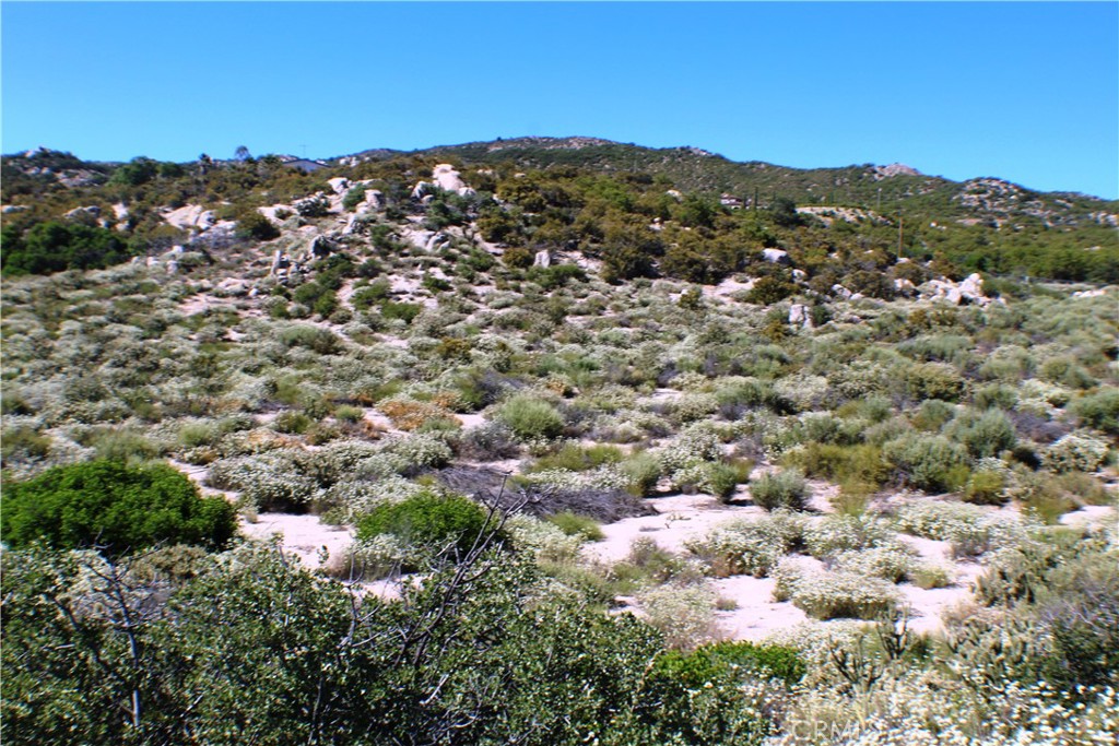 42560 Labrinia Lane Anza, CA 92539 - Photo 18 of 22