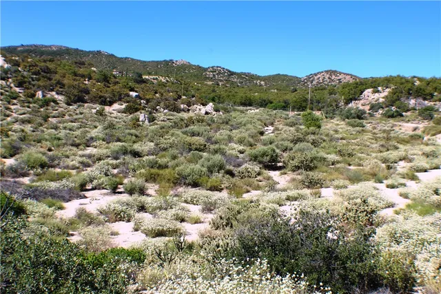 $90,000 | 42560 Labrinia Lane, Anza, CA 92539