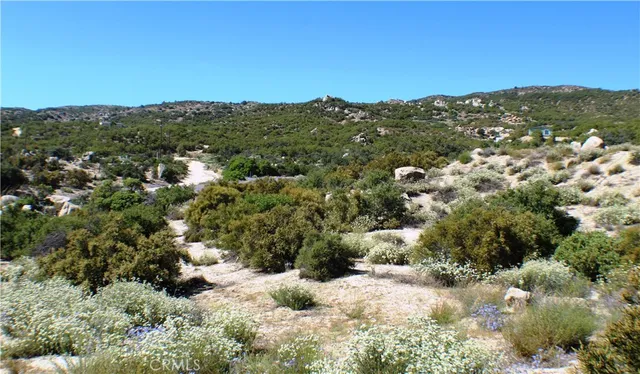 $90,000 | 42560 Labrinia Lane, Anza, CA 92539