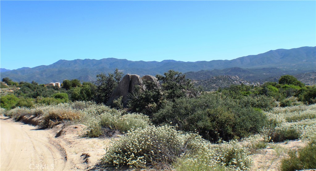 42560 Labrinia Lane Anza, CA 92539 - Photo 10 of 22 a view of a mountain range with trees in the background