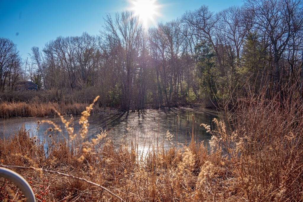 184 Hart Street Beverly, MA 01915 - Photo 3 of 19