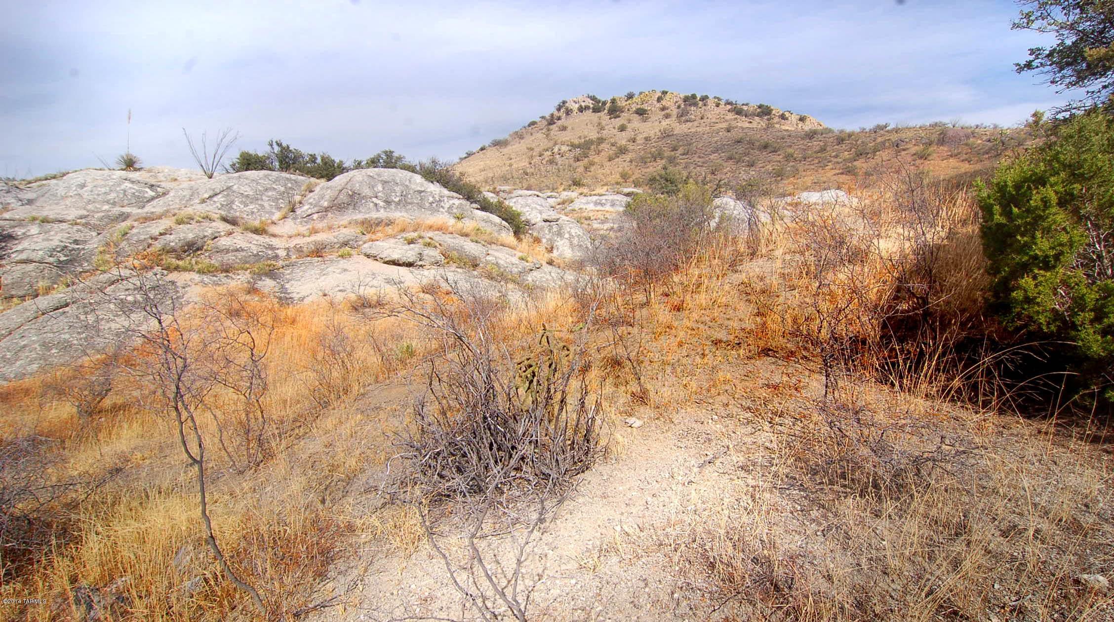 Canyon Road Patagonia, AZ 85624 - Photo 28 of 34